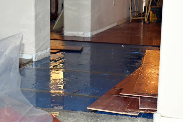 Professional Basement Flood Cleanup technician working in Snohomish, WA